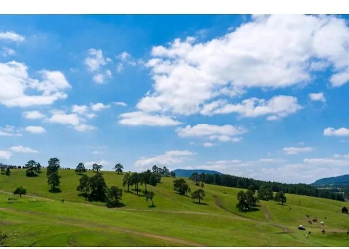 Avantura 1 * Zlatibor